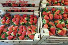 fragole 1