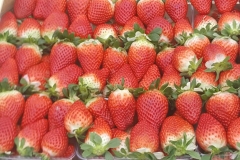 fragole 2